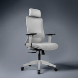 Kepler Brooks Eterna Premium High Back Mesh Office Desk Chair