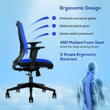 Kepler Brooks Eterna Premium Mid Back Mesh Office Chair