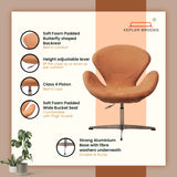 Kepler Brooks Oswald Premium Lounge Chair | Living Room Chair, Dining Room Chair, Cafeteria Chair, Home Bar Chair, Garden Chair - Brown
