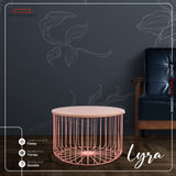 Lyra Metal Coffee/Center Table with 18MM Commercial MDF Glossy Finish Tabletop [Pink Base, Wooden Top] for Living Room Home